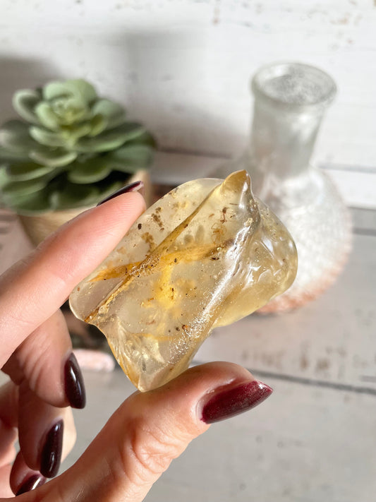 Copal Fossil ~ (young amber)  Colombia