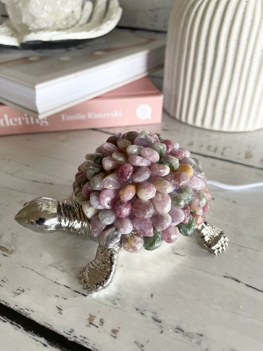 Tortoise Led Lamp - Kunzite
