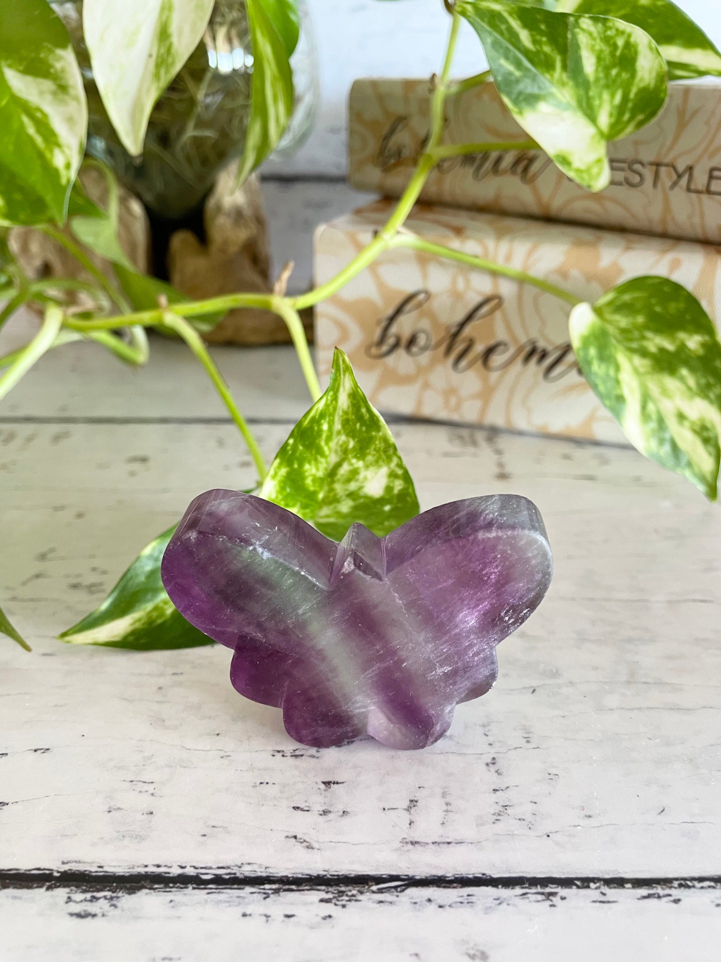 Butterfly ~ Rainbow Fluorite