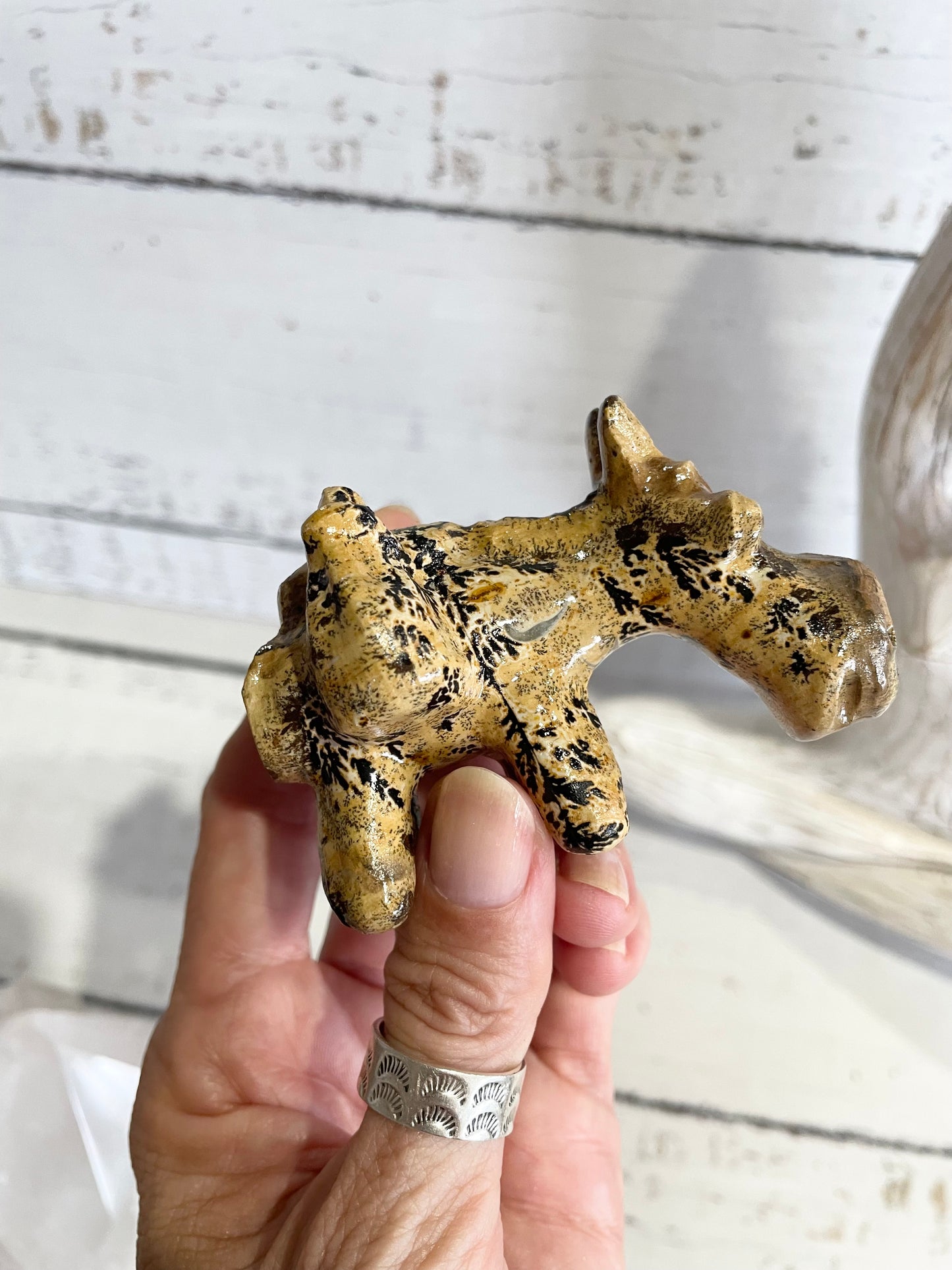 Picture Jasper Donkey ~ 10
