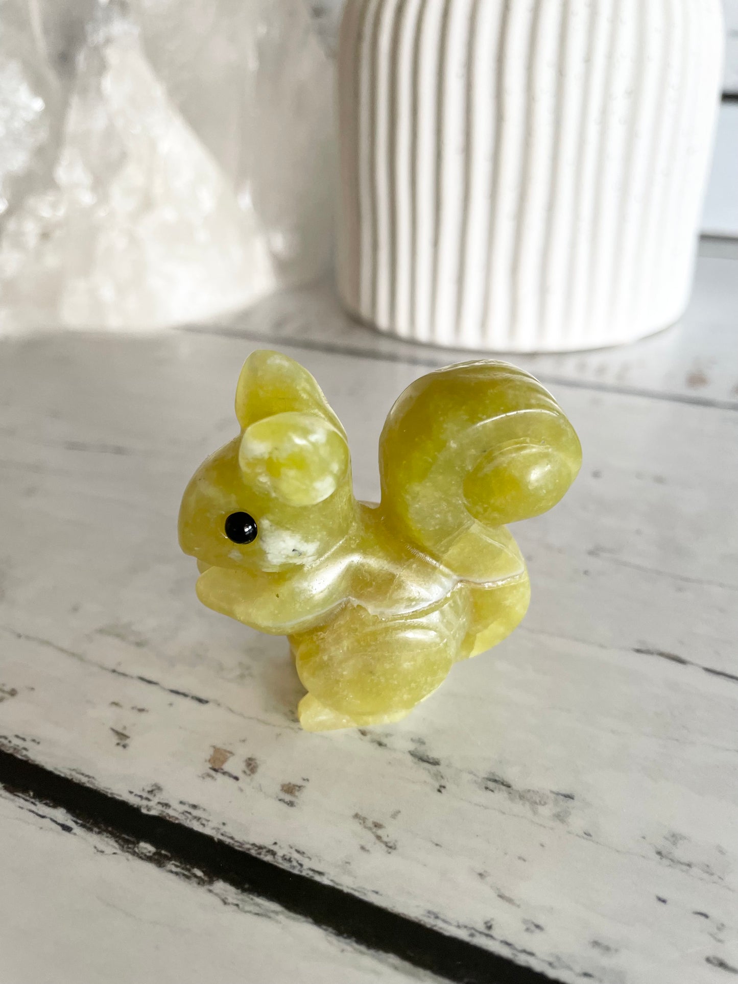 Canadian Jade Squirrel