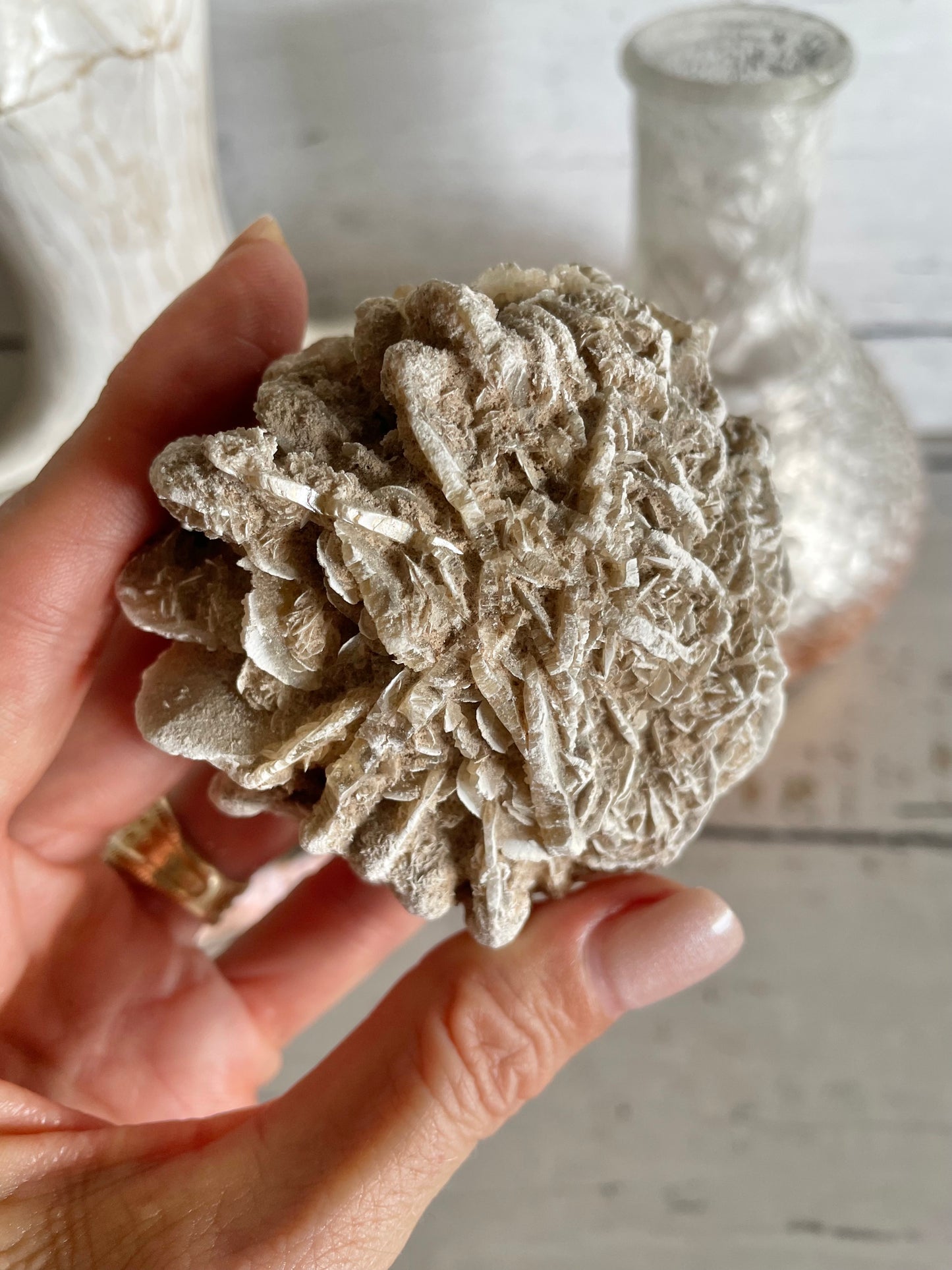 Desert Rose