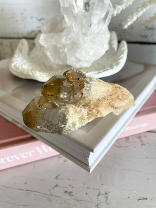 Natural Pineapple Citrine Cluster Point