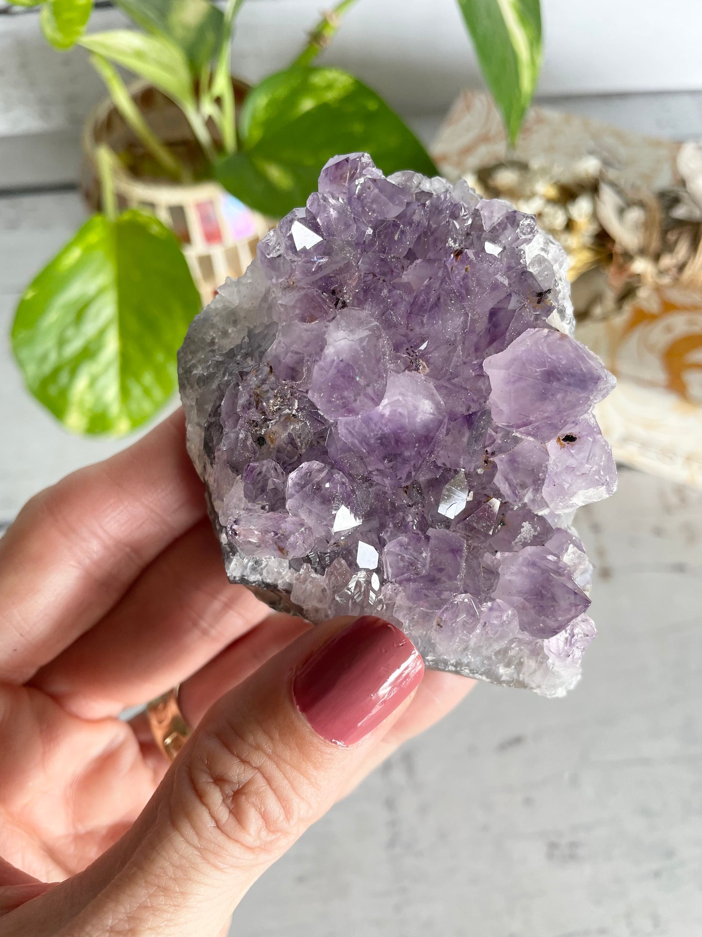 Amethyst Cluster