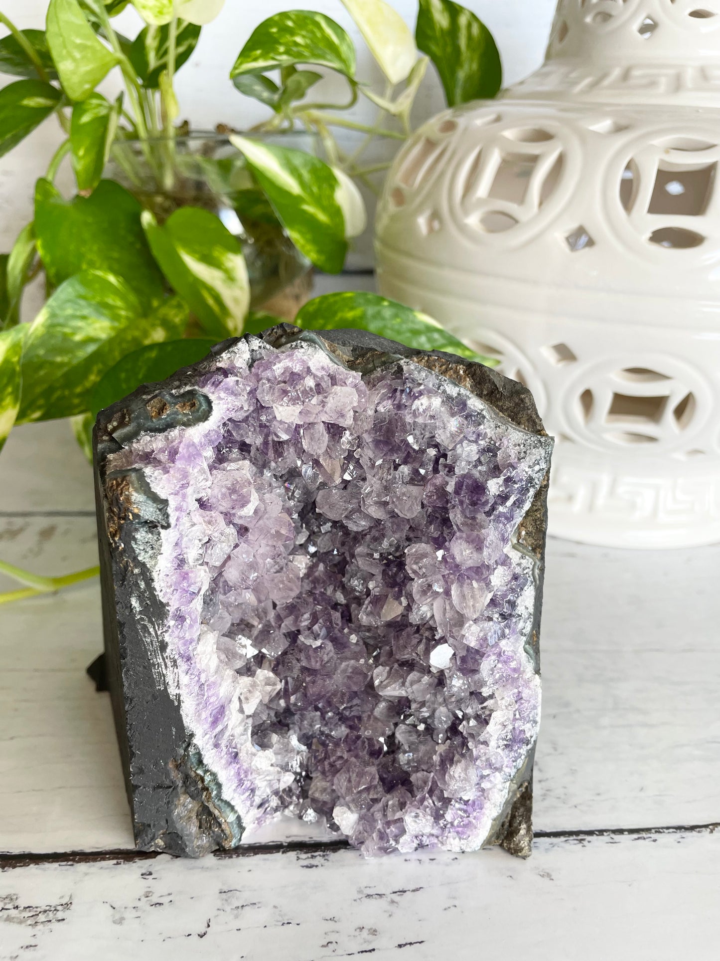 Amethyst Standing Cluster ~ 1.2kgs