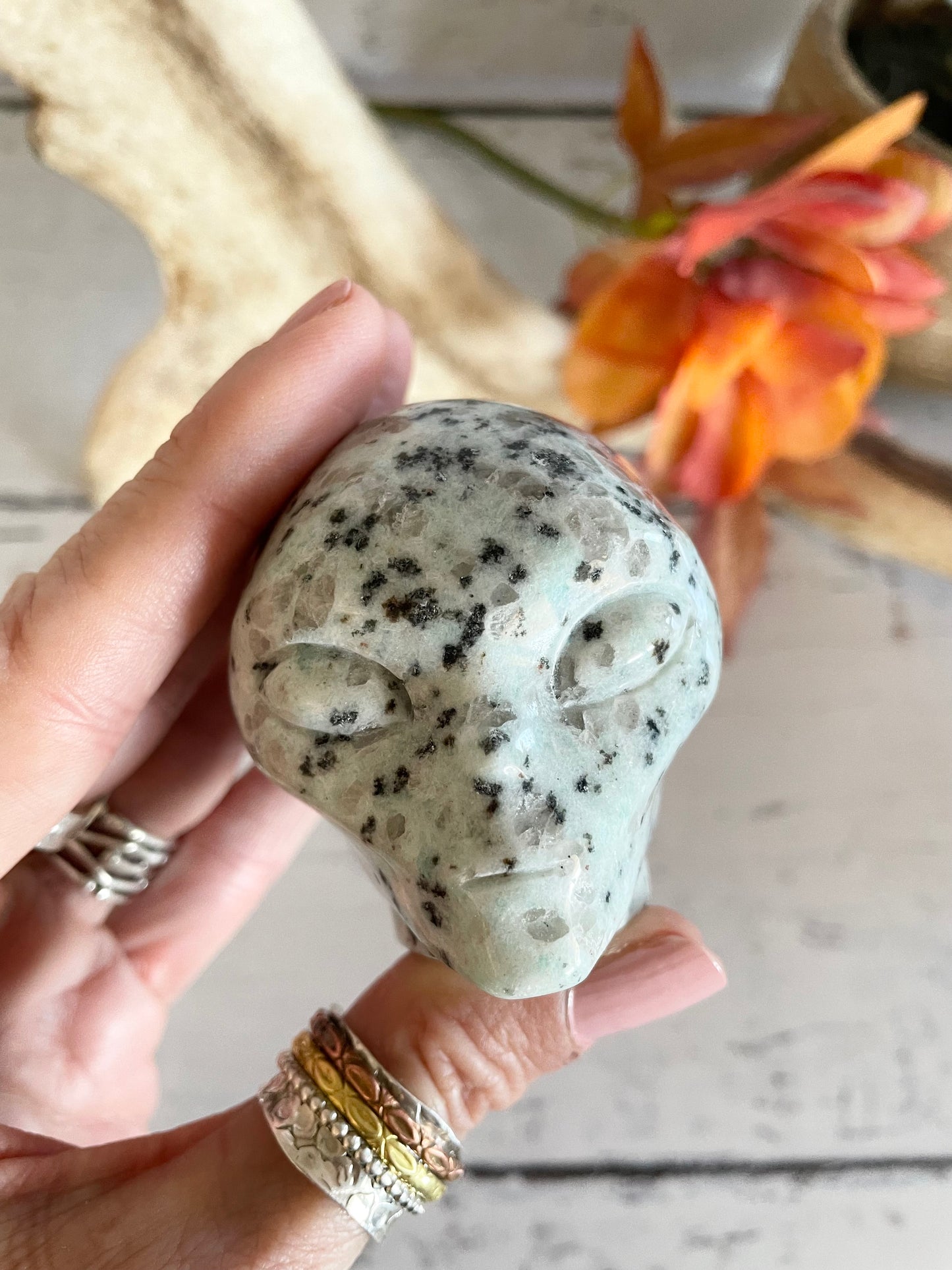 Alien Skull ~ Kiwi Jasper