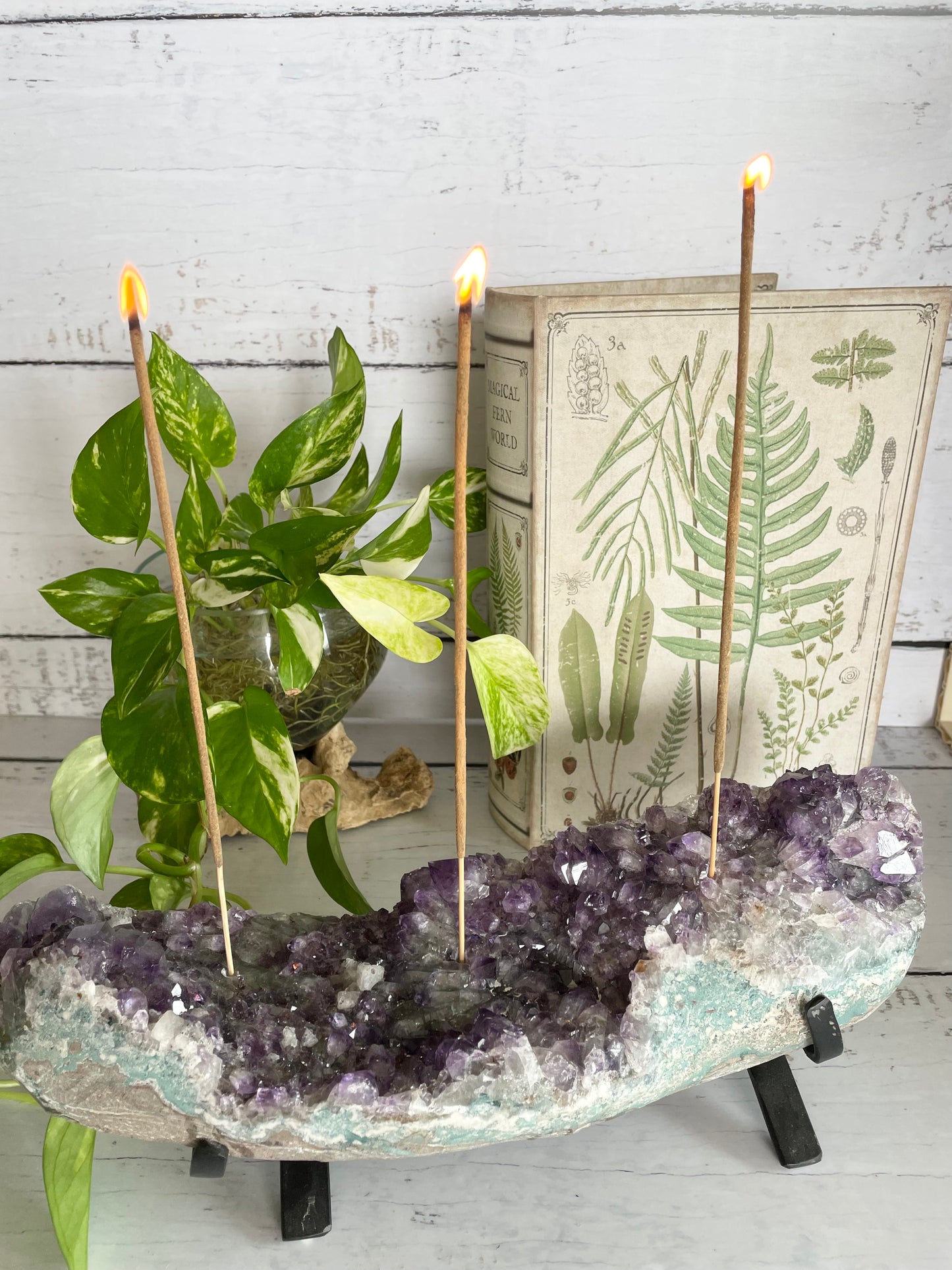 Amethyst Cluster Table Topper ~ 2.7kgs Incense Holder