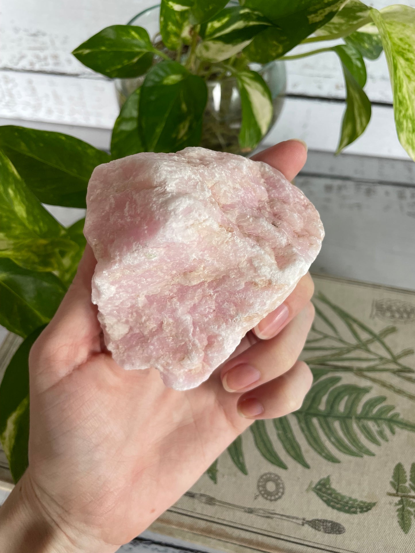 Pink Aragonite