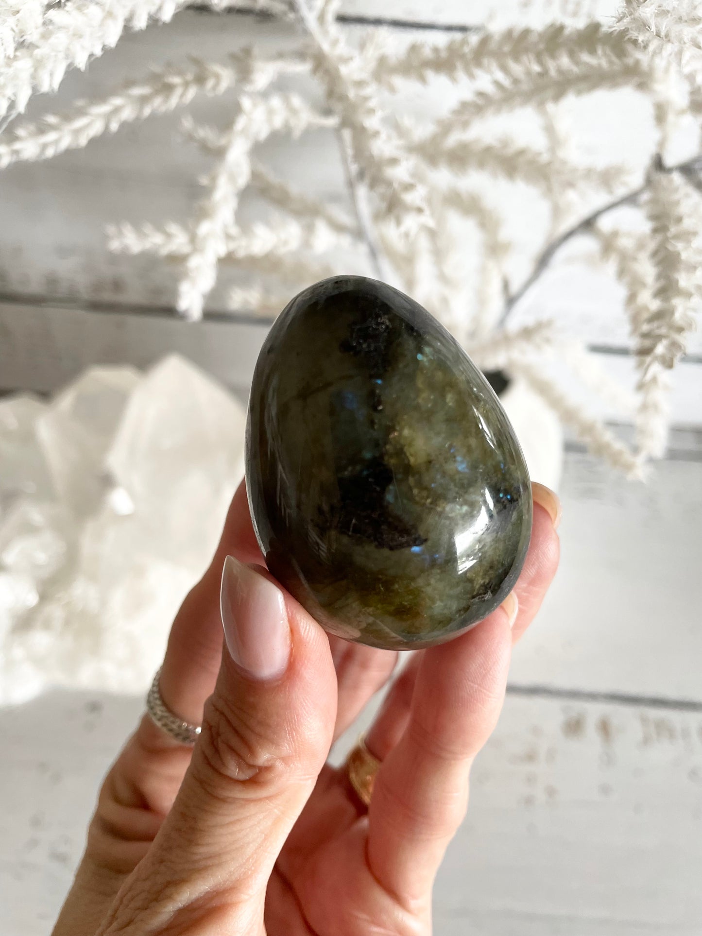Labradorite Egg with holder