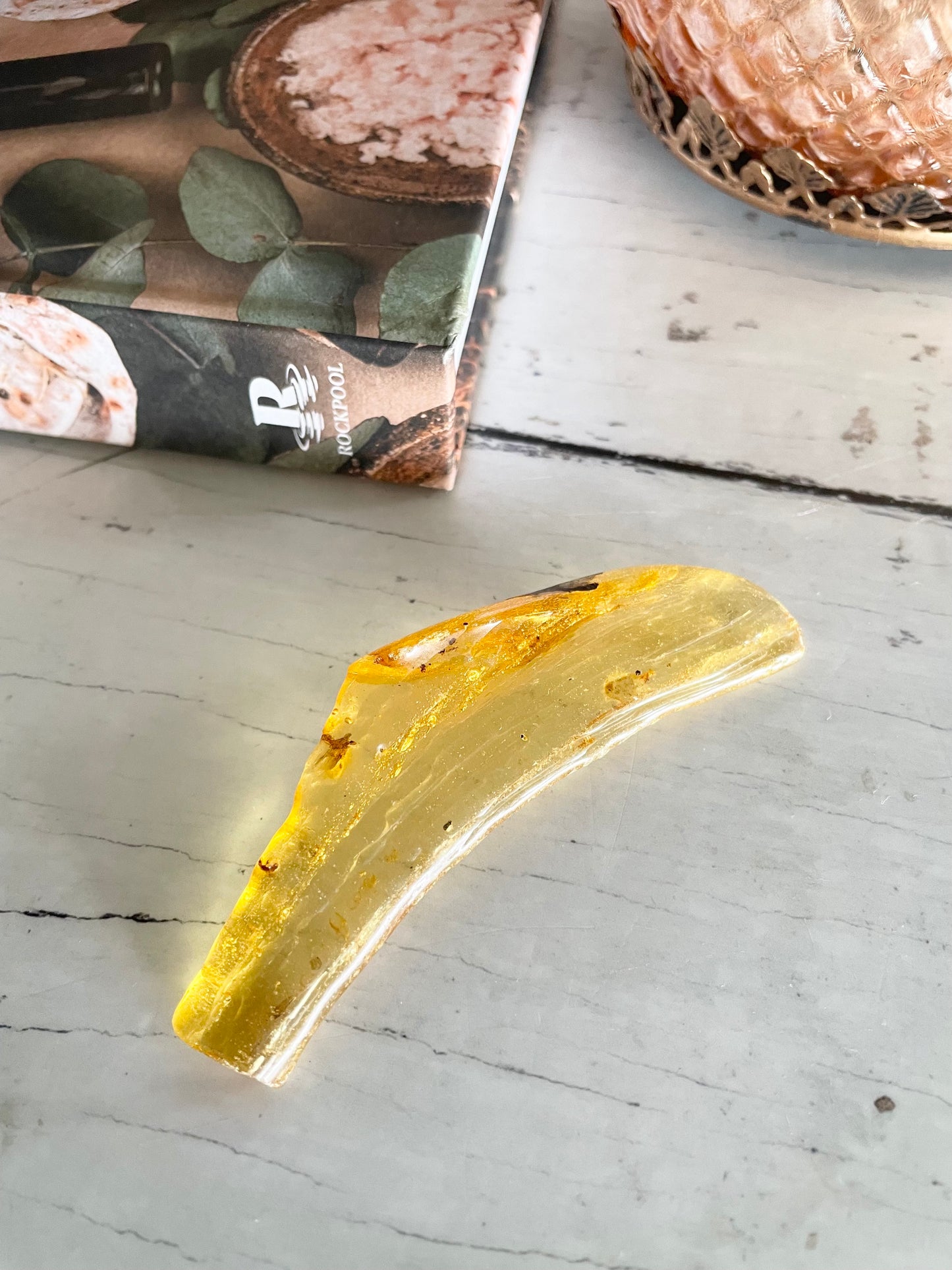 Copal Fossil ~ (young amber)  Colombia