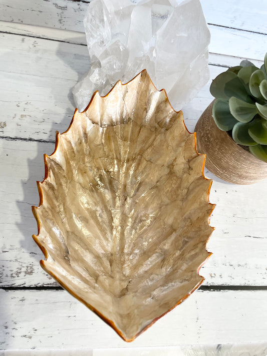 Abalone Shell Trinket Bowl