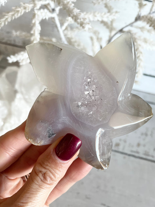 Natural Agate ~ Sea Star