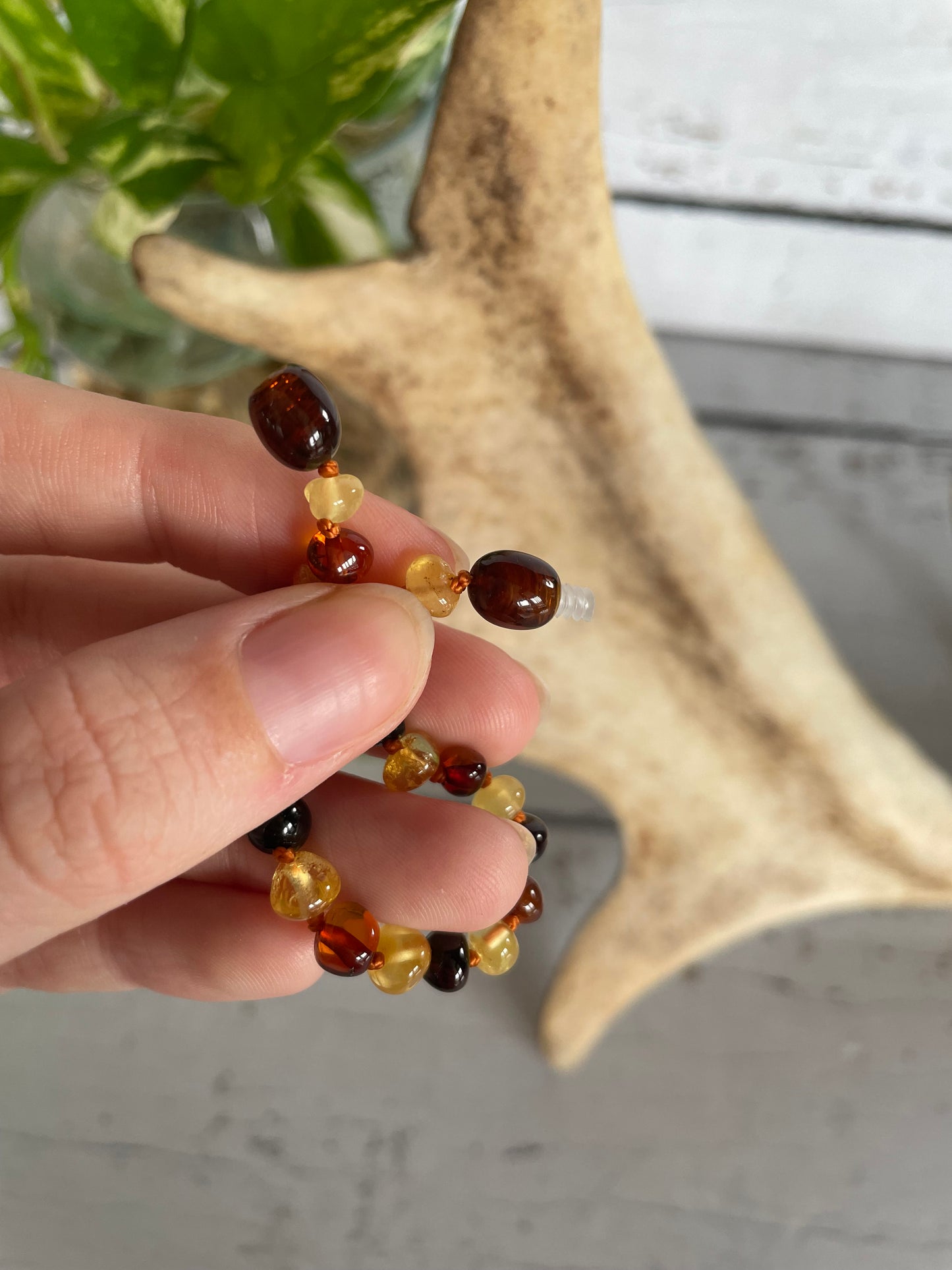 Amber Baby Bracelet ~ Multi Stone