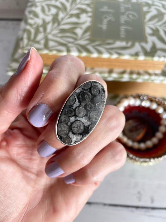 Sweetgrass Studio ~ Orthoceras Fossil Ring