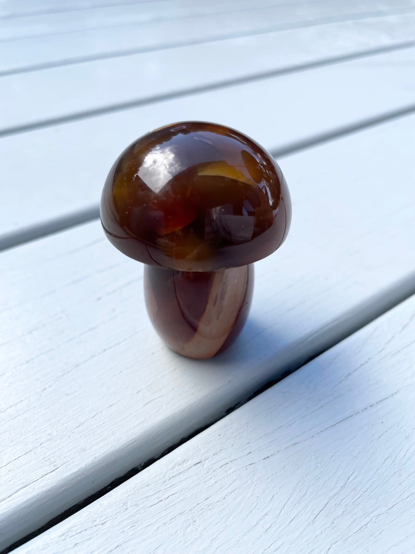 Carnelian Mushroom