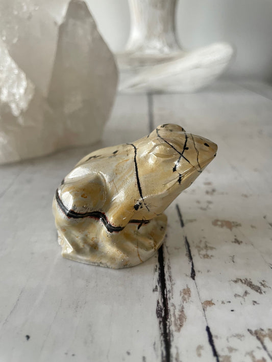 Picture Jasper Frog