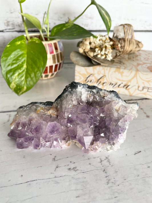 Amethyst Cluster