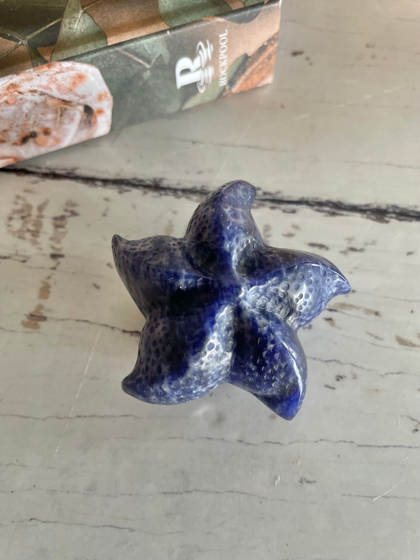 Sea Star ~ Sodalite