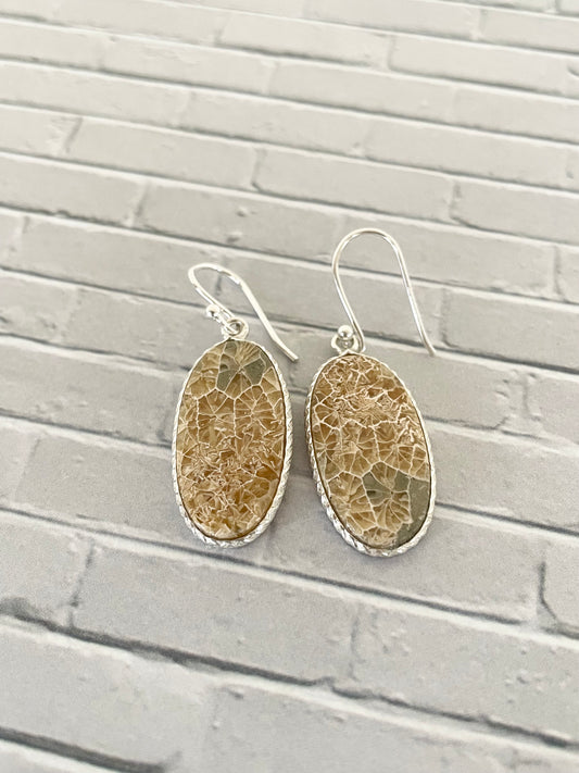 Petoskey / Fossil coral Dangles