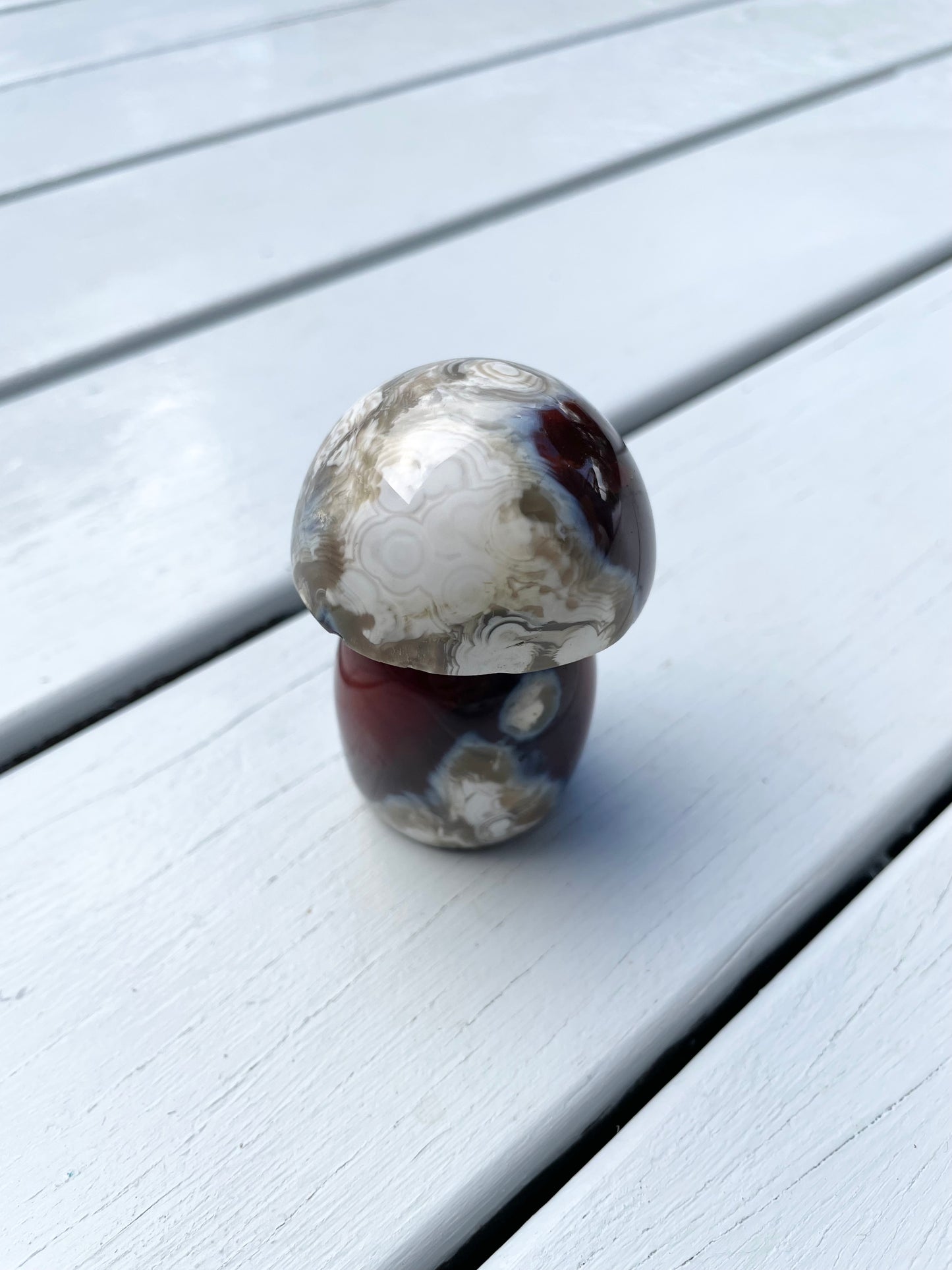 Carnelian Mushroom