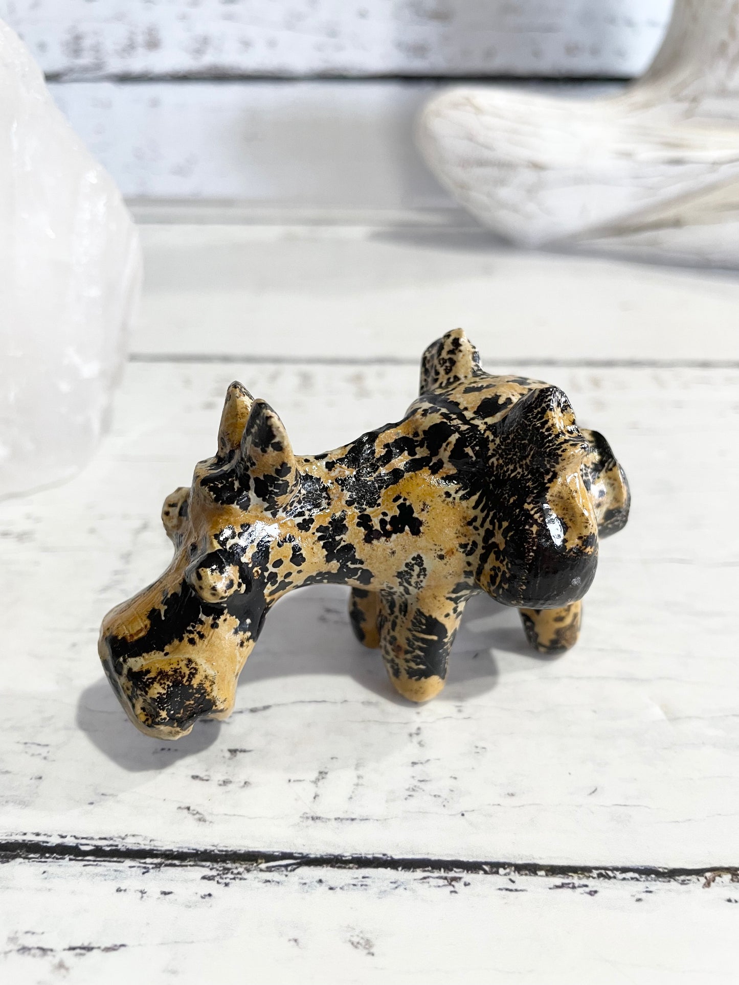 Picture Jasper Donkey ~ 9