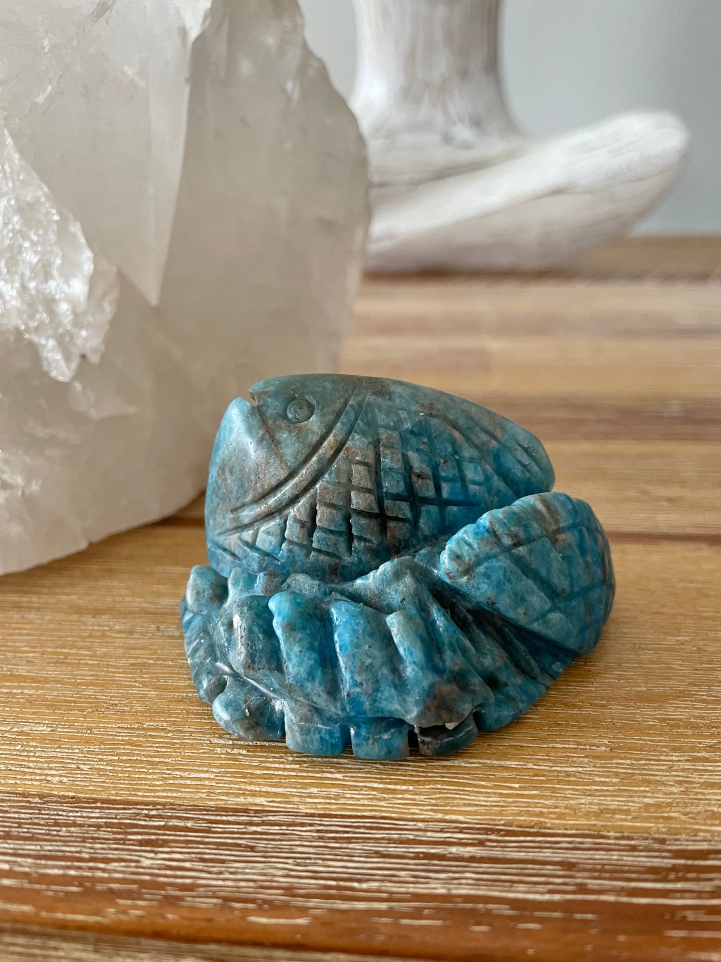 Apatite Fish