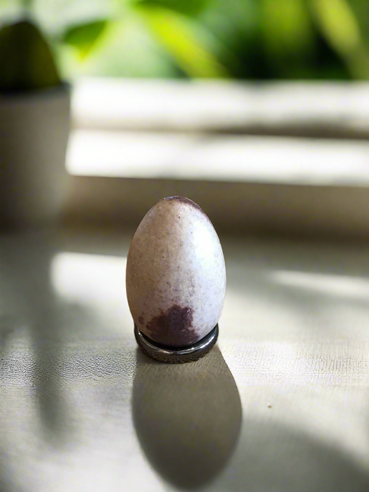 Shiva Narmada Egg with holder