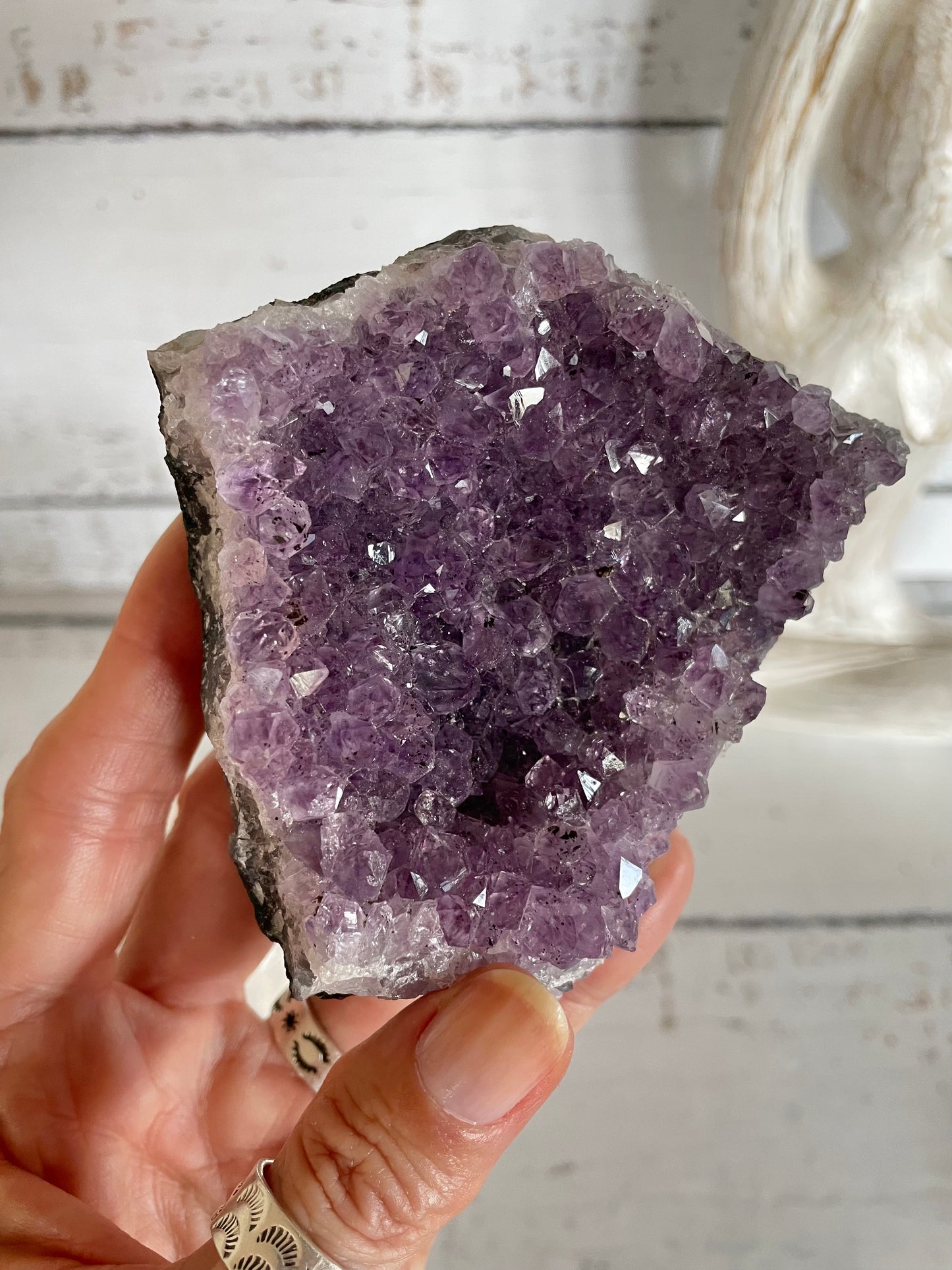 Amethyst Cluster