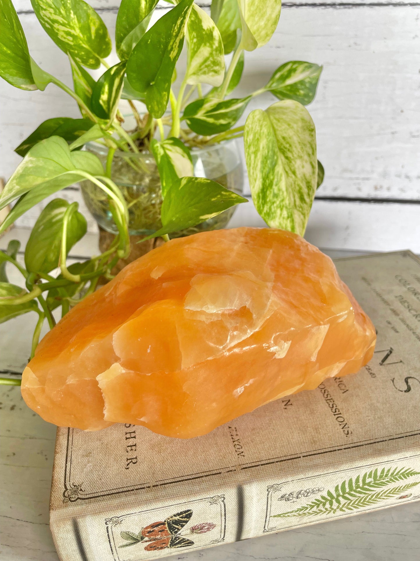 Orange Calcite ~ 1.8kgs