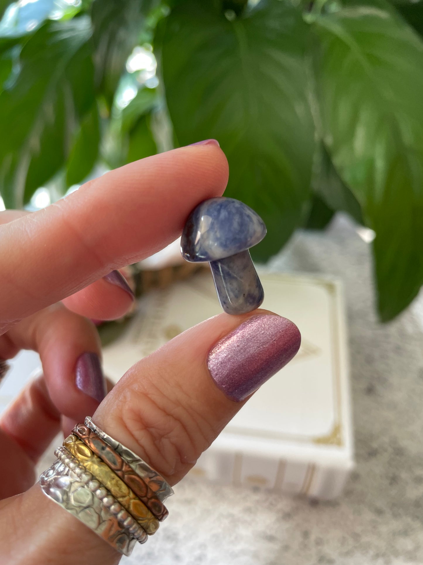 Intuitively chosen ~ Sodalite Mushroom