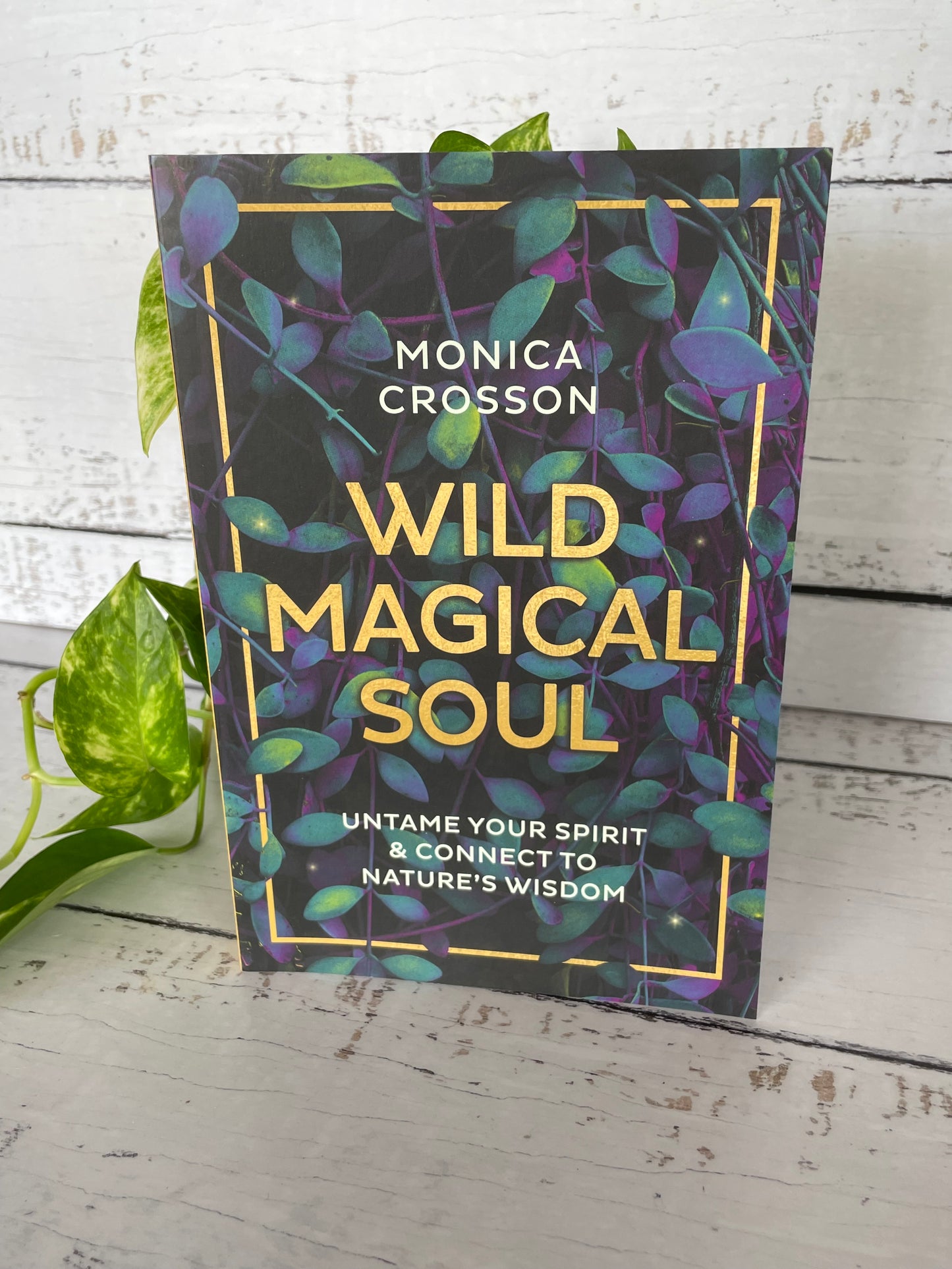 Wild Magical Soul