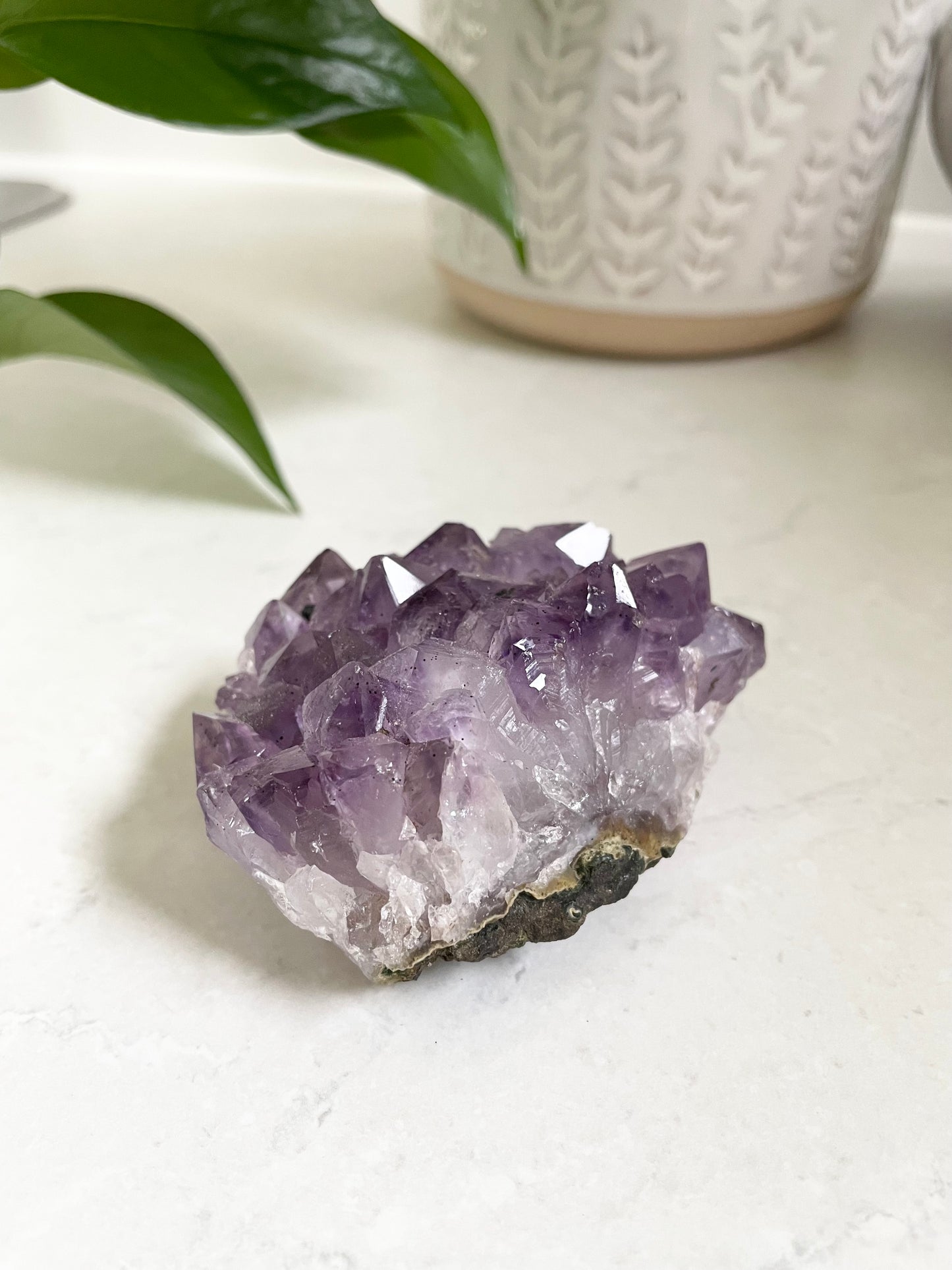 Amethyst Cluster