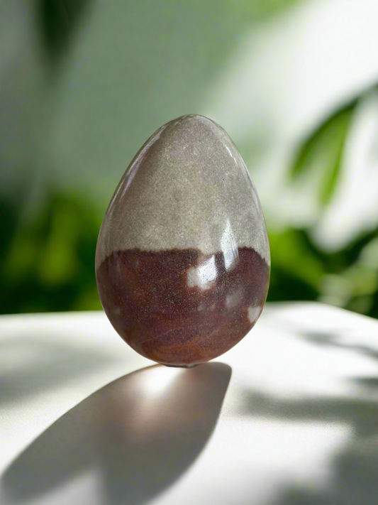 Shiva Narmada Egg with holder