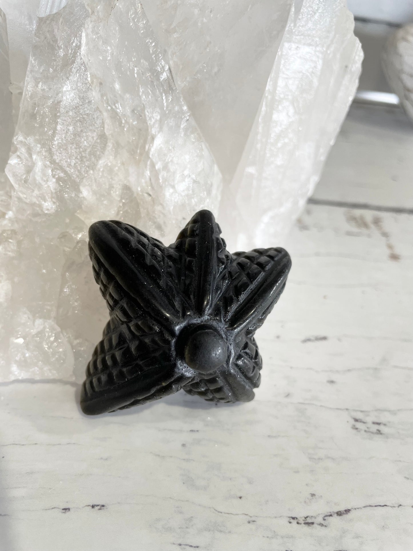 Golden Obsidian Sea star
