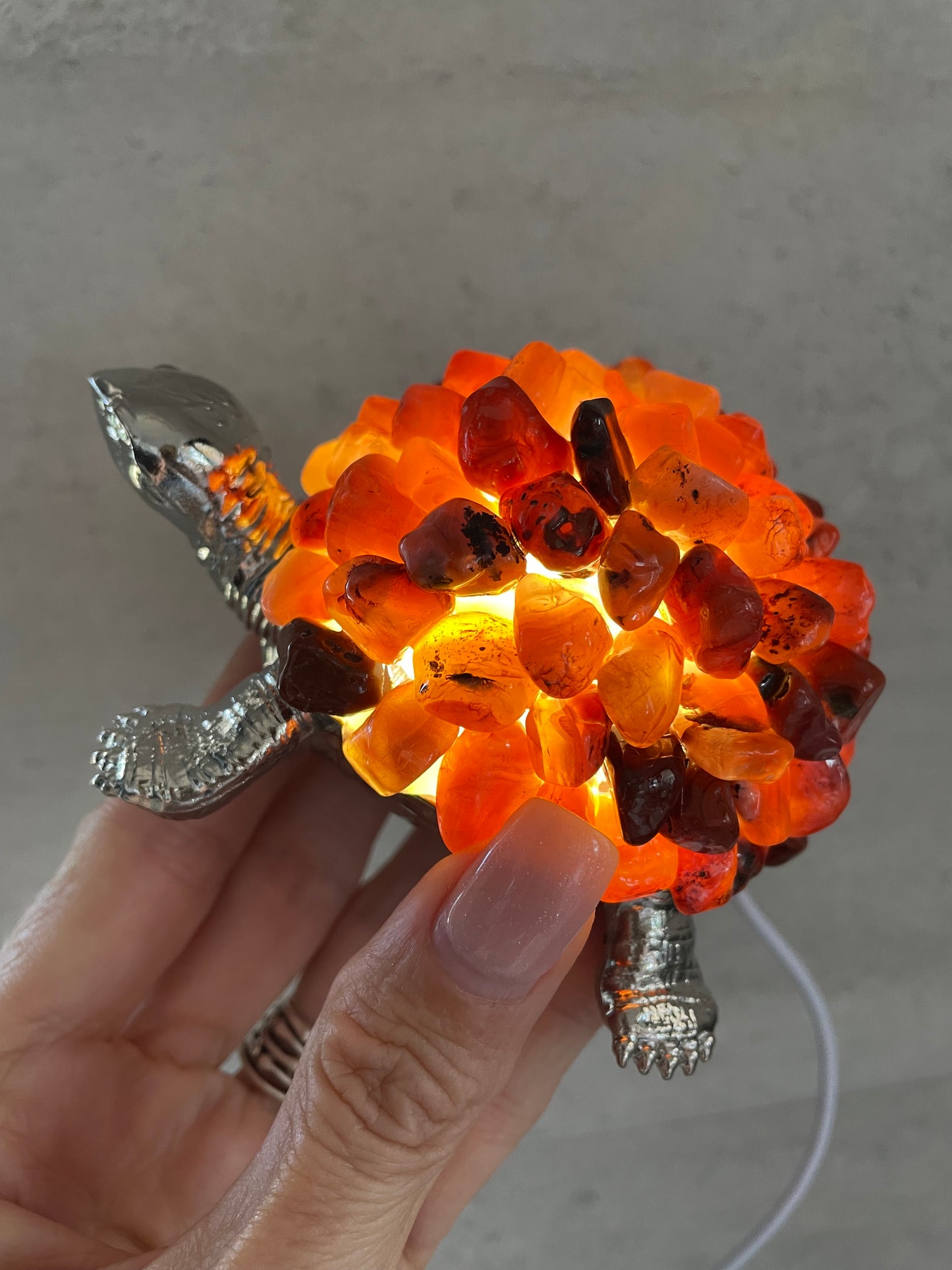 Tortoise Led Lamp ~ Carnelian