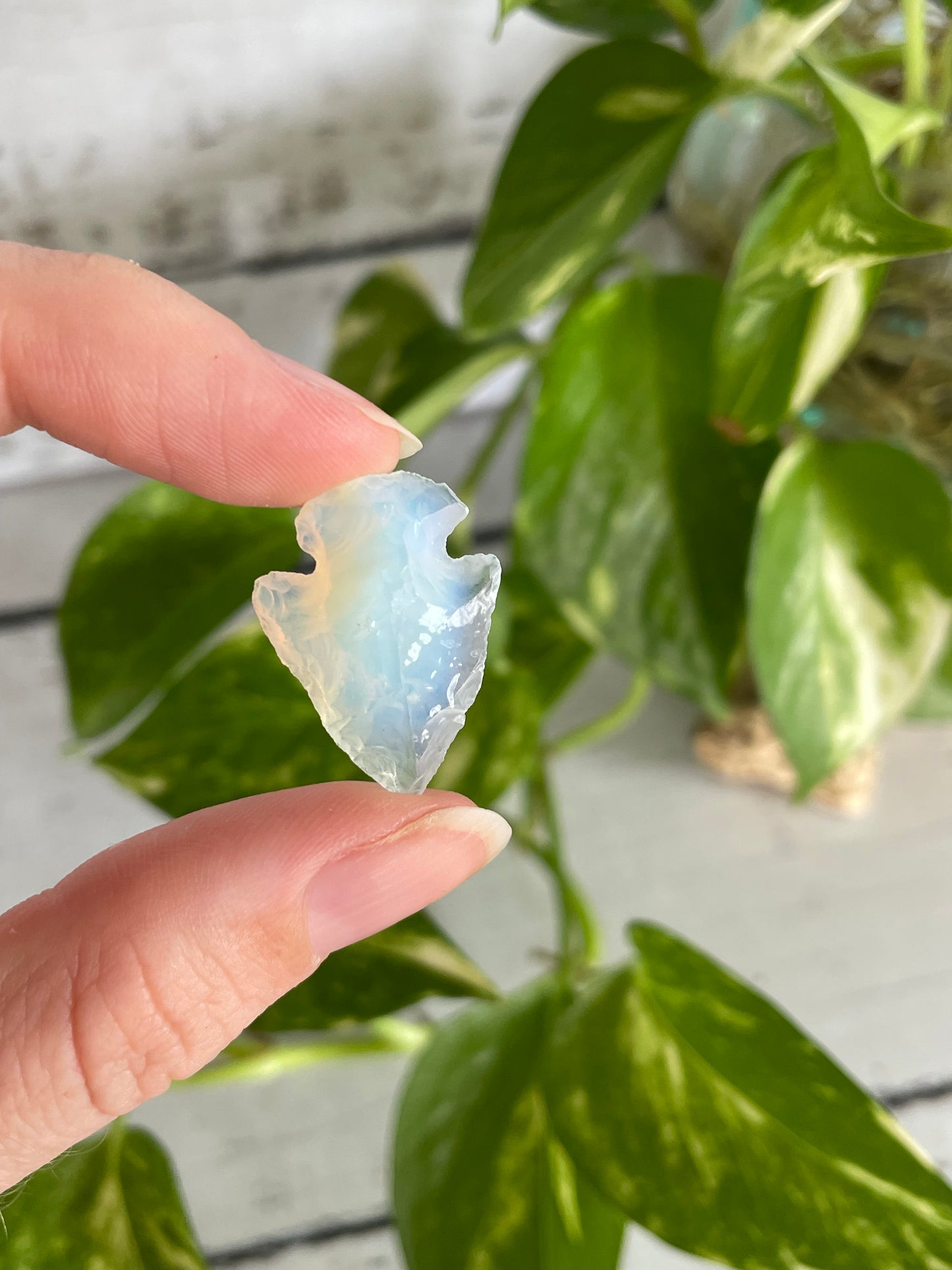 Arrow Head ~ Opalite