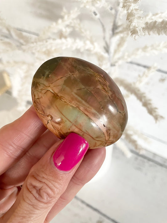 Cherry Creek Jasper Palm Stone
