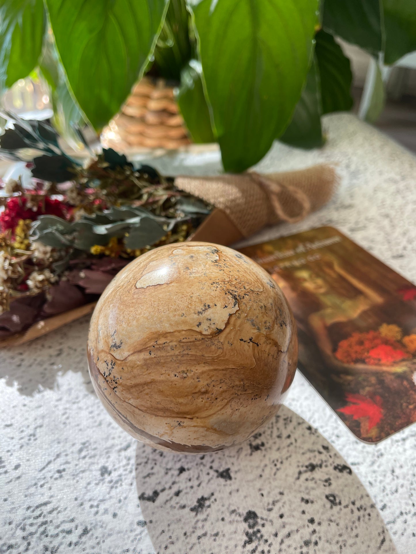 Picture Jasper Sphere Includes Wooden Holder