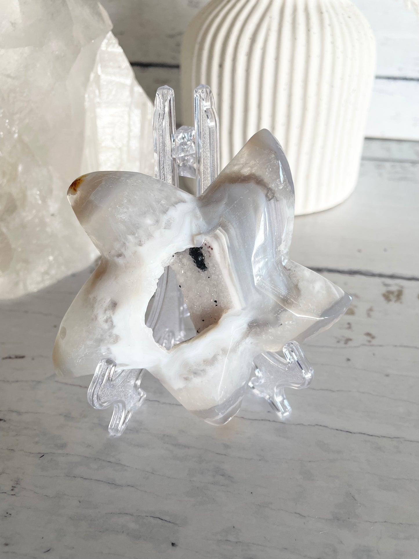 Natural Agate ~ Sea Star
