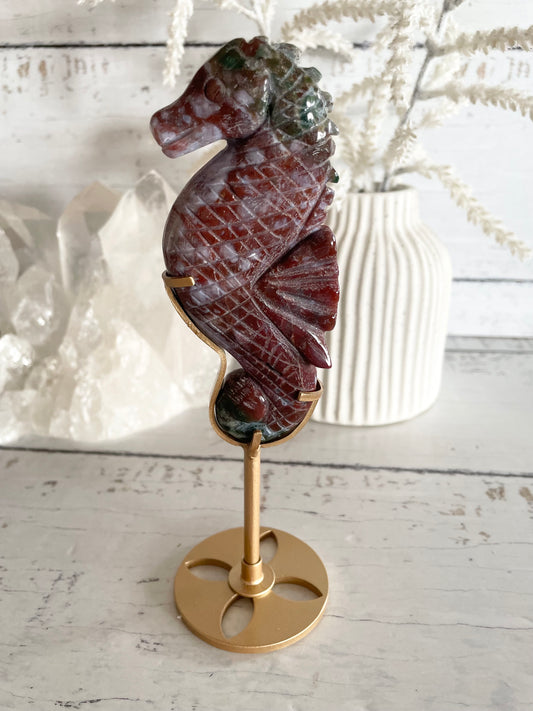 Seahorse ~ Indian Agate