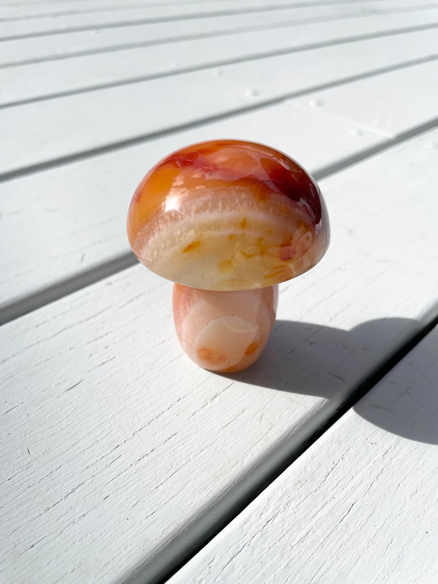 Carnelian Mushroom