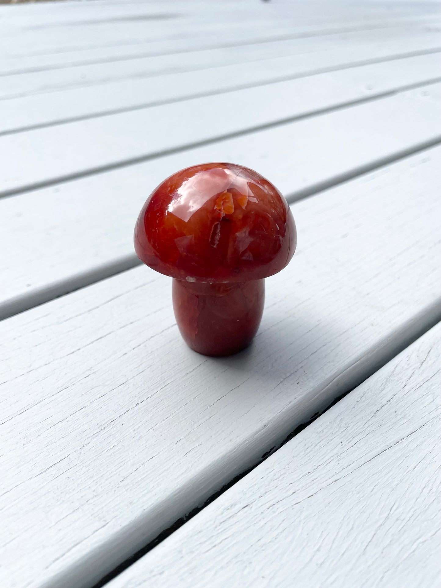 Carnelian Mushroom