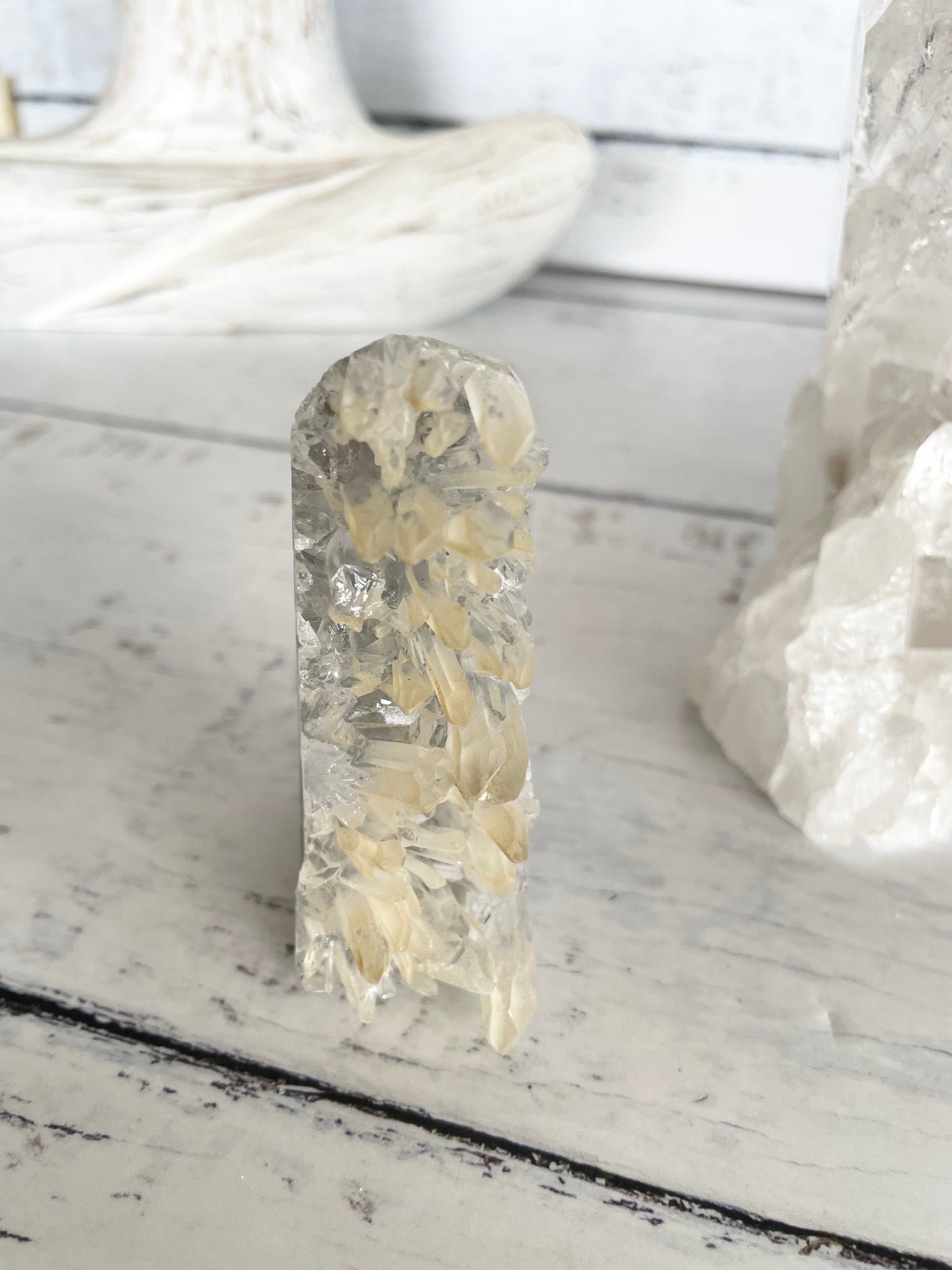 Quartz Squirrel 7