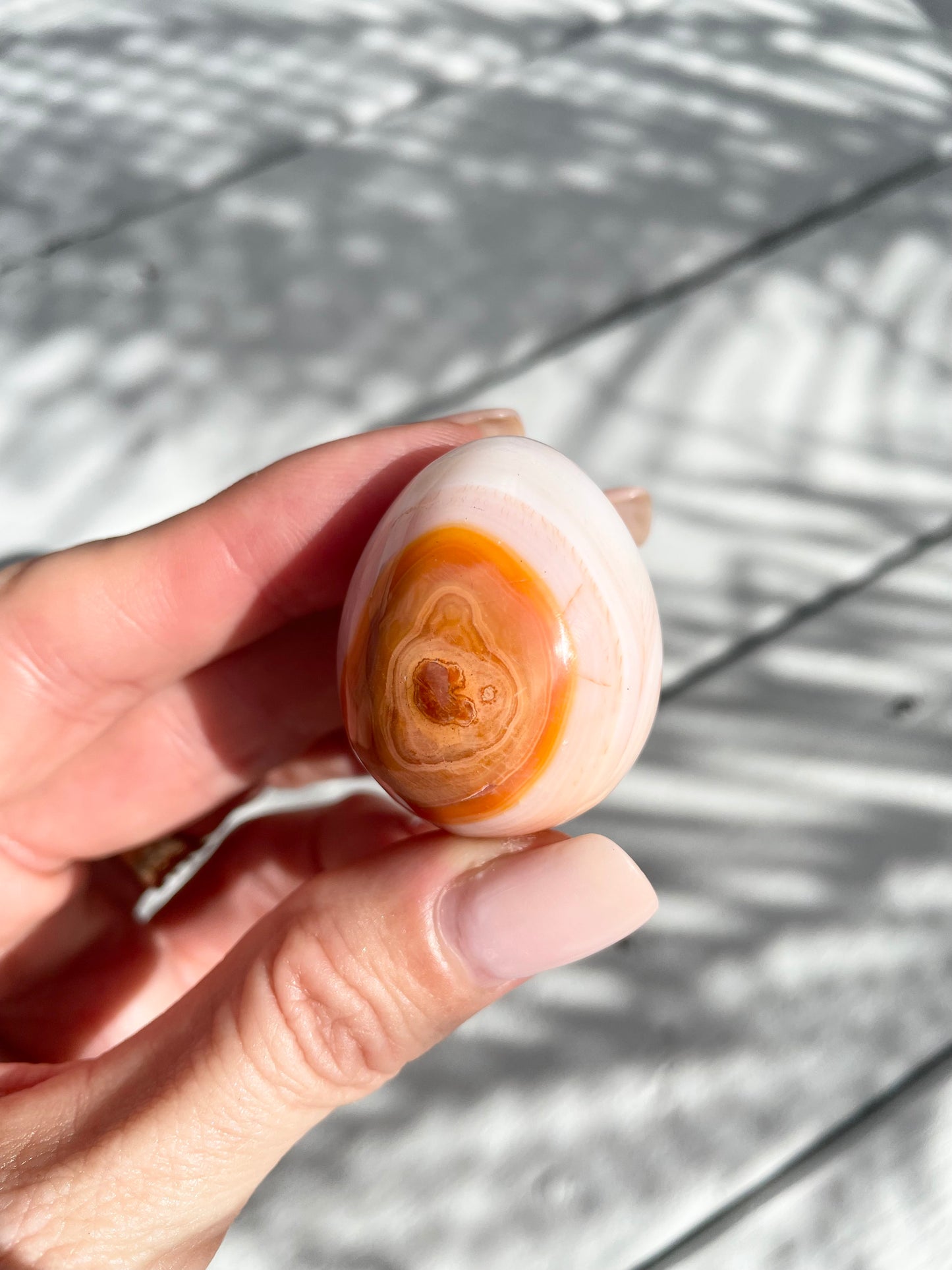 Carnelian Egg with holder