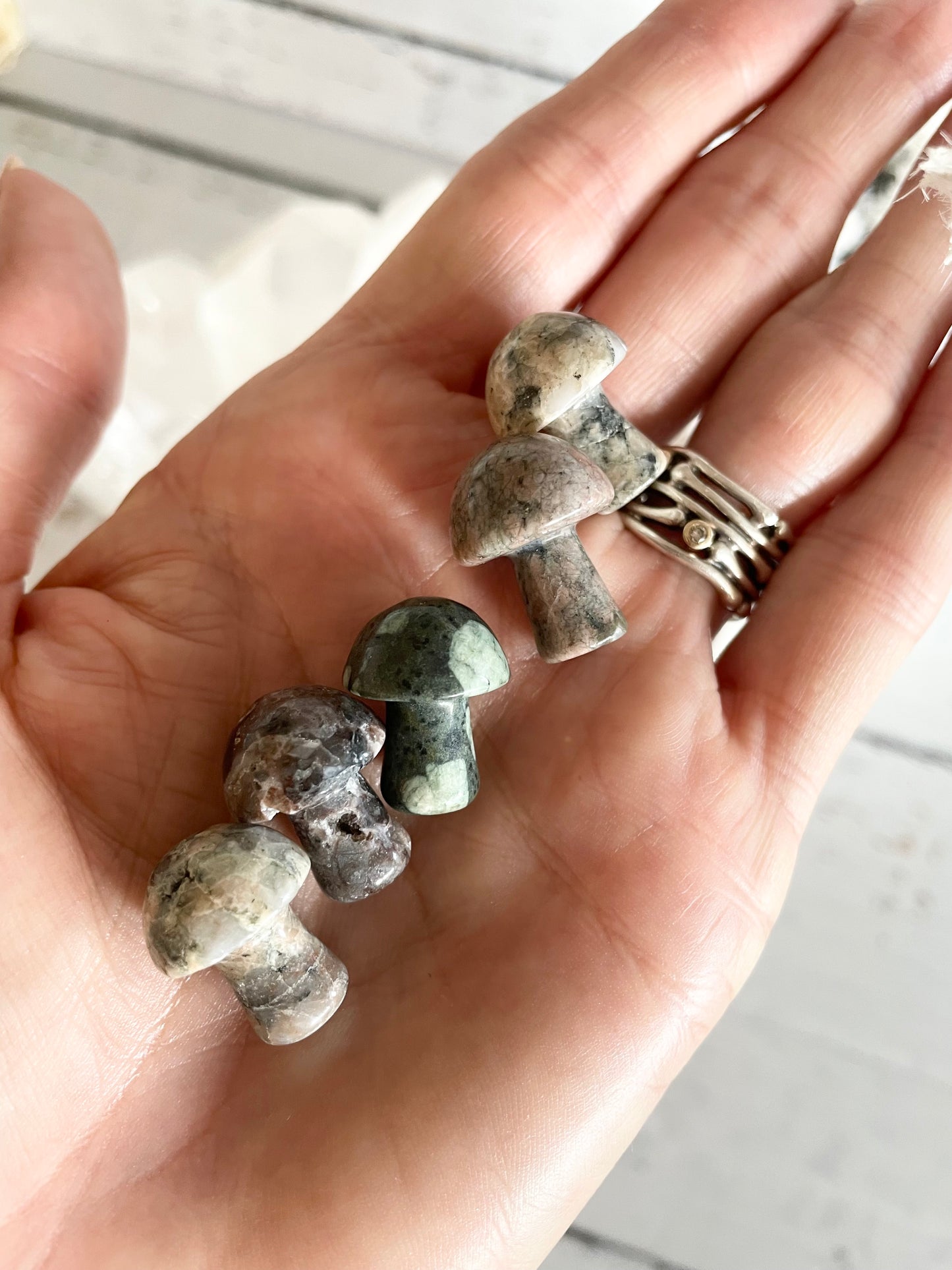 Intuitively chosen ~ Jasper Mushroom