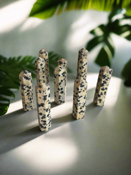 Intuitively Chosen ~ Dalmatian Jasper Mini Generator