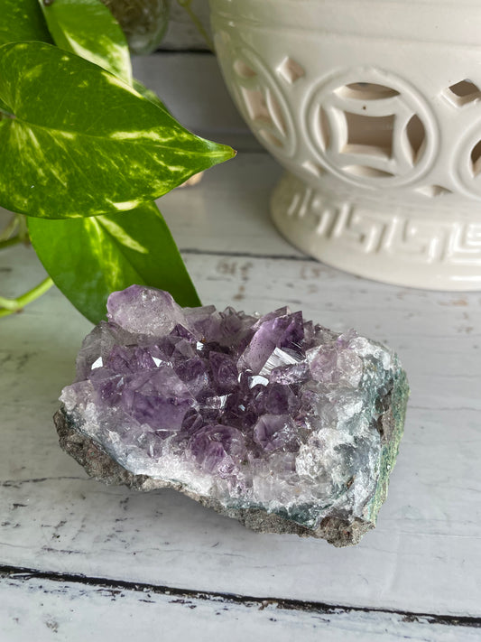 Amethyst Cluster