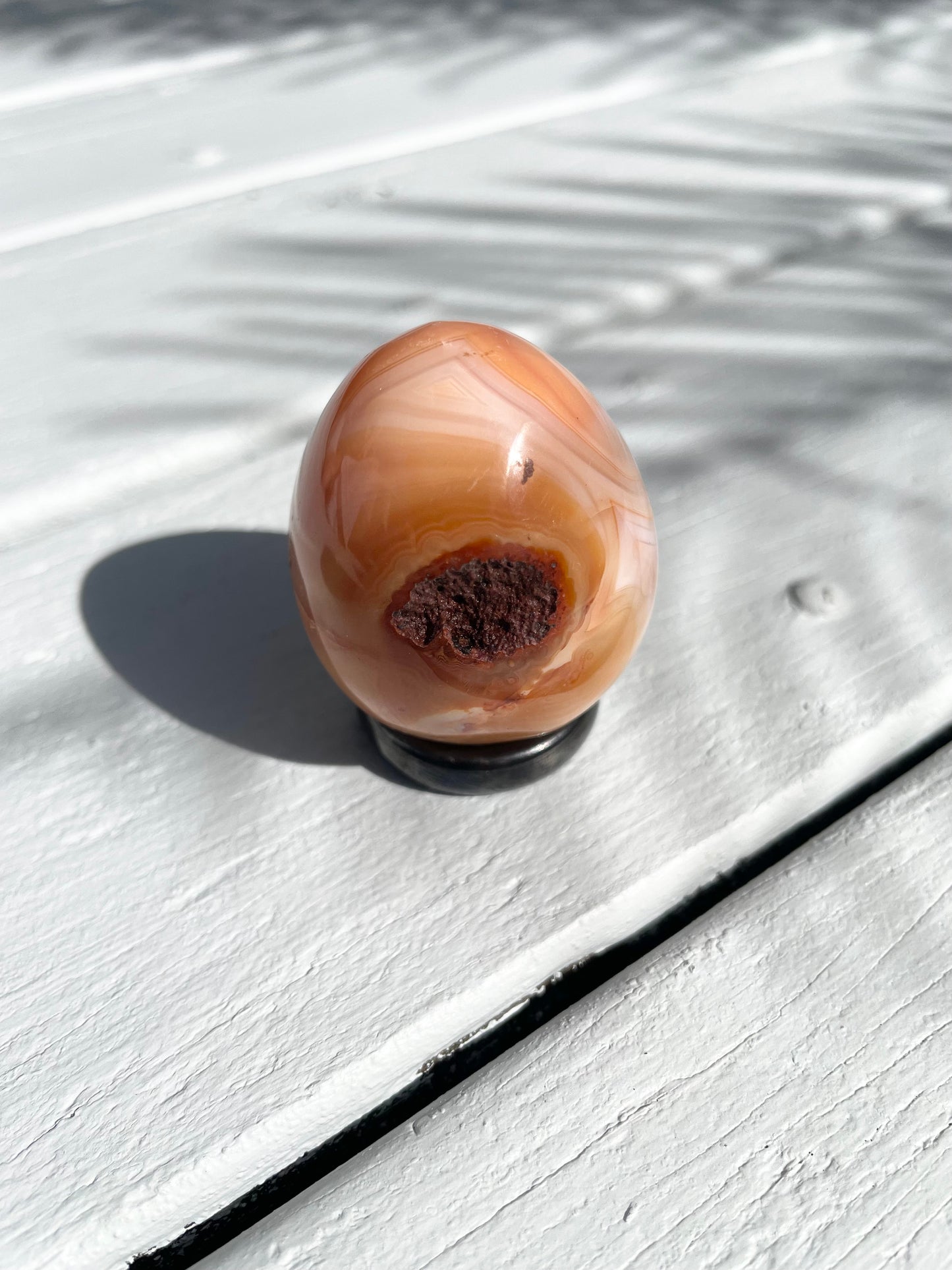 Carnelian Egg with holder
