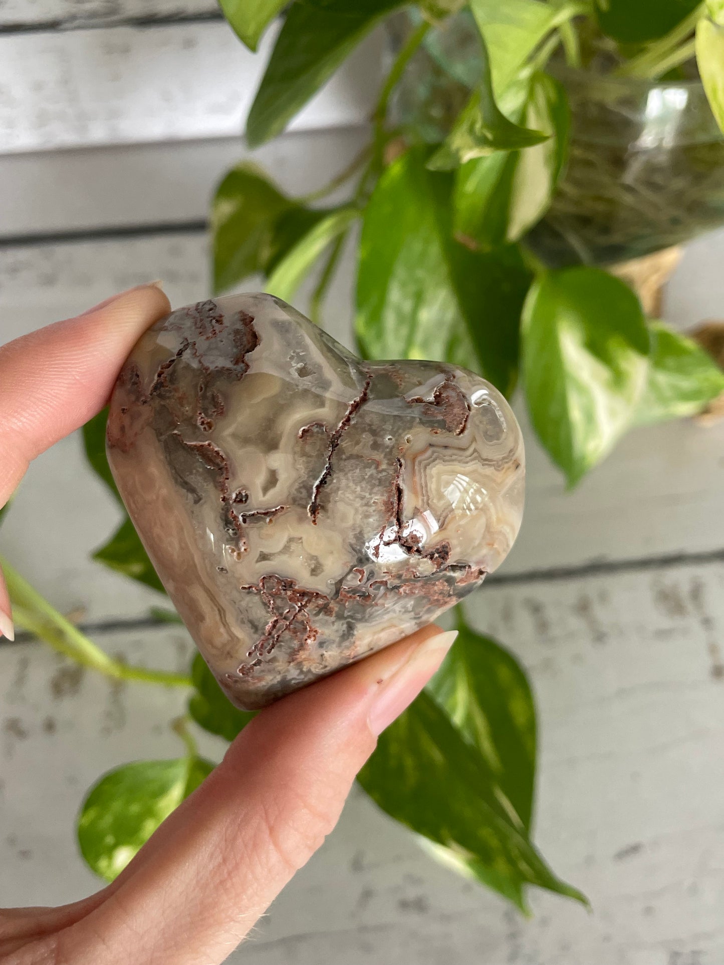 Crazy Lace Agate Heart