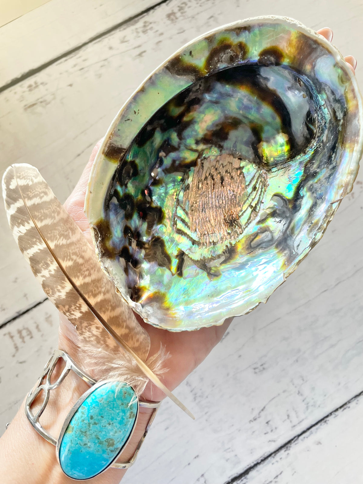 Abalone Shell Natural with Feather ~ Set of 2